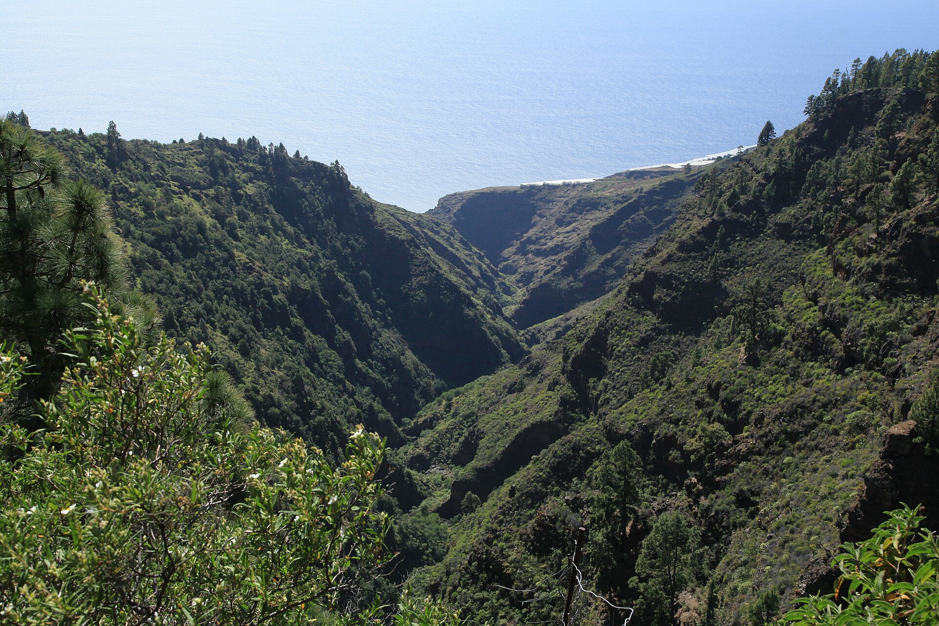 Mirador Barranco de Garome, La Palma