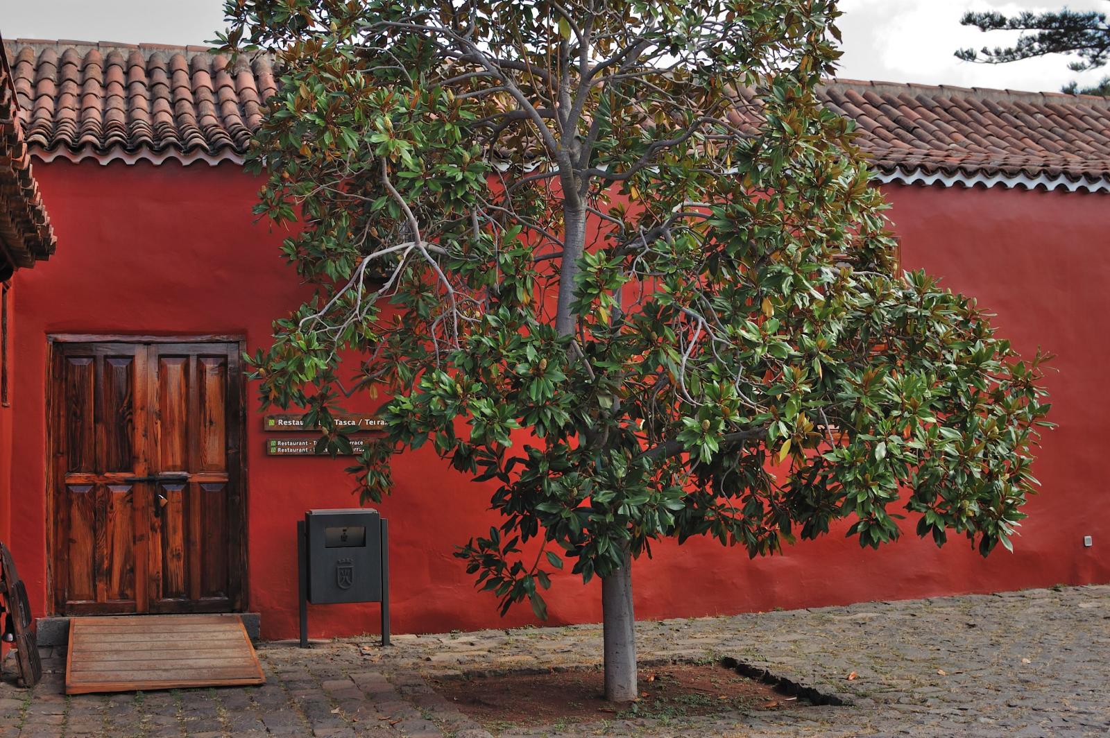 Casa del Vino de Tenerife, Tenerife