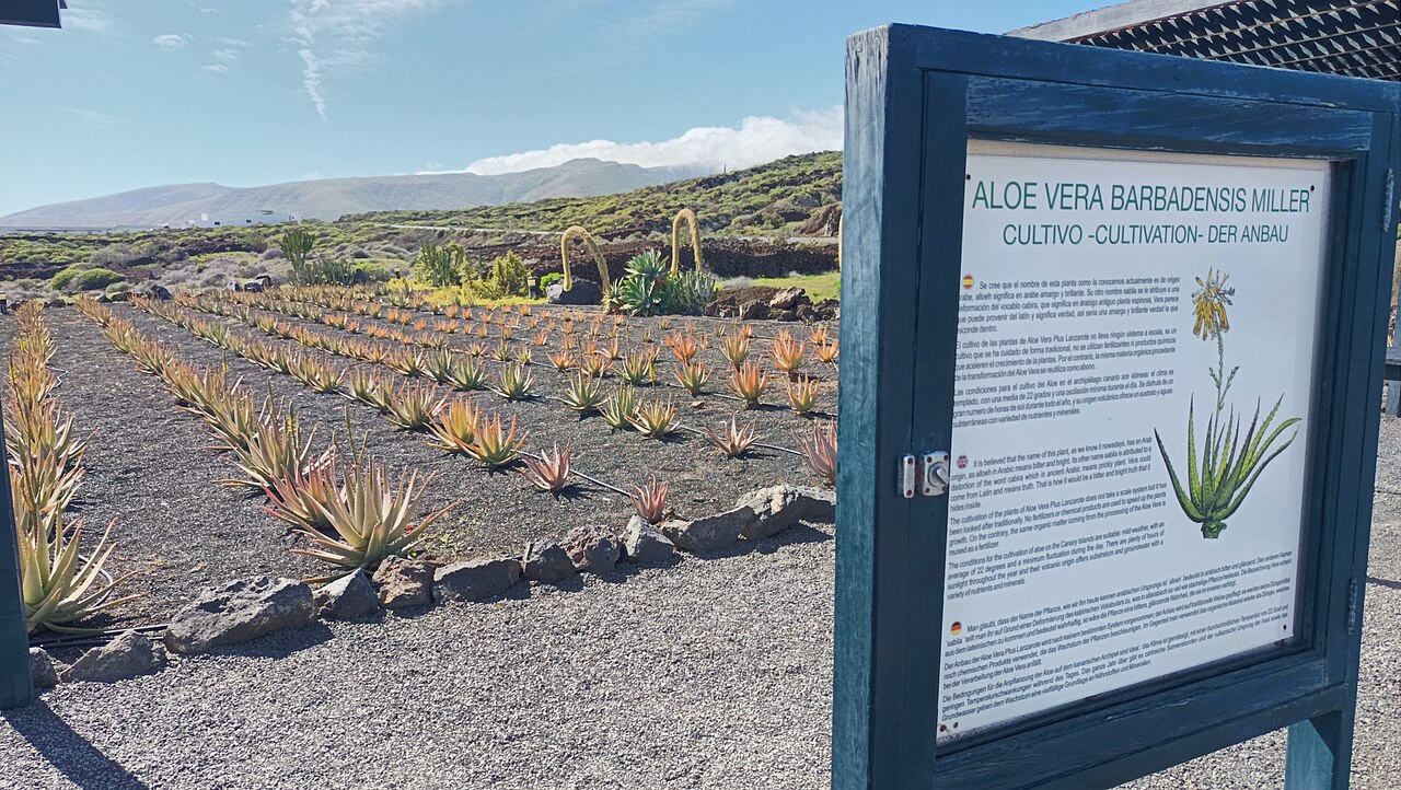 Punta Mujeres, Lanzarote