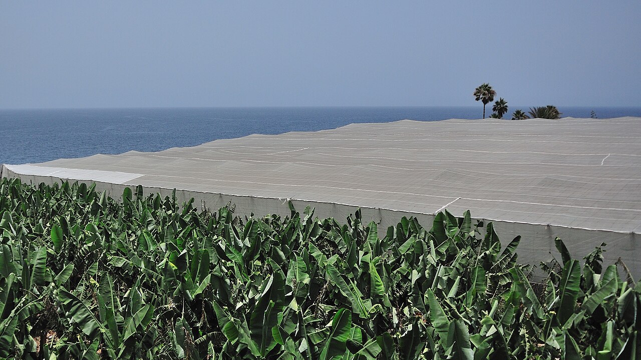 Charco Verde, La Palma