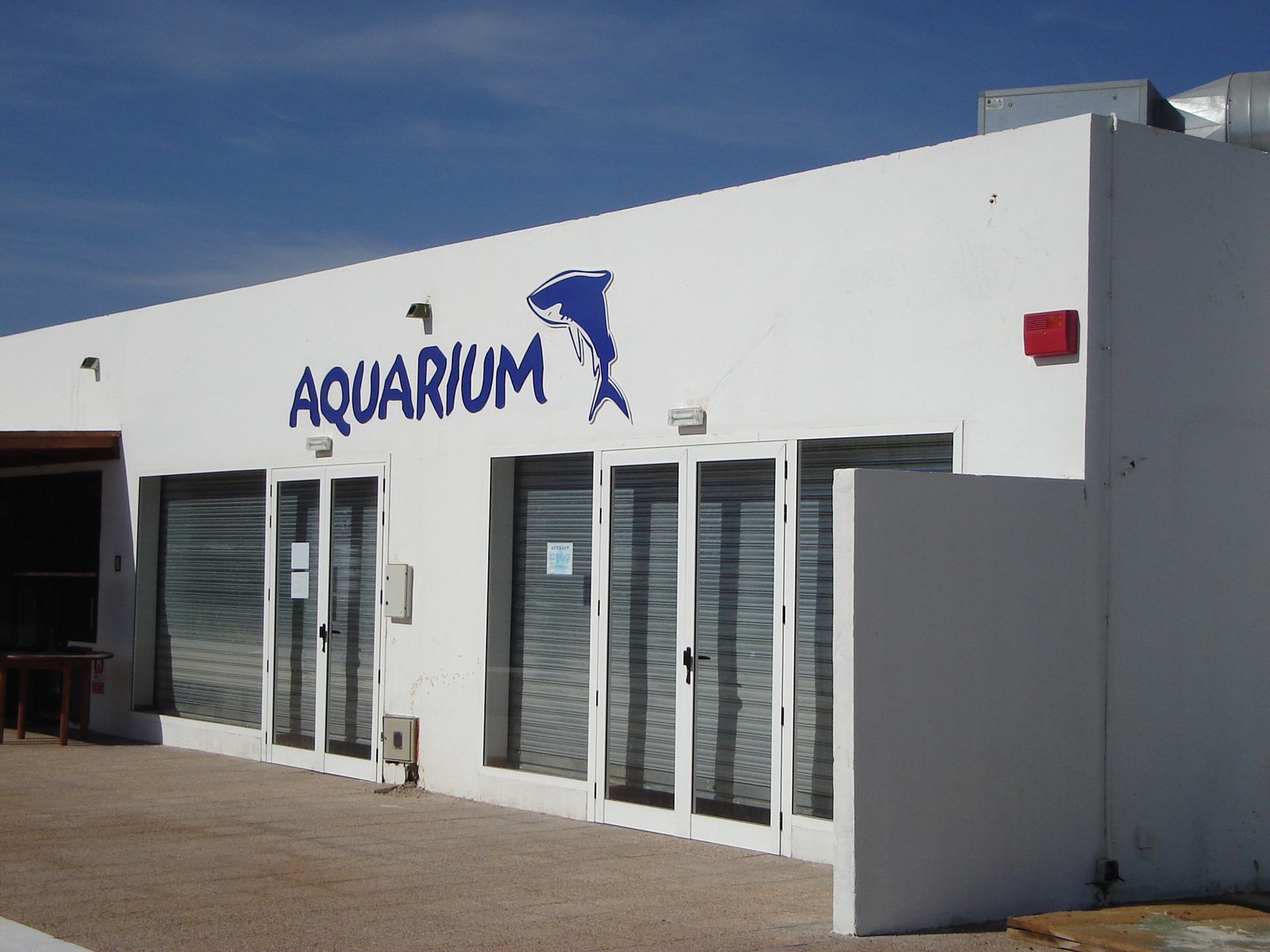Aquarium Lanzarote: acuario de Costa Teguise para ver tiburones y especies marinas (Lanzarote)