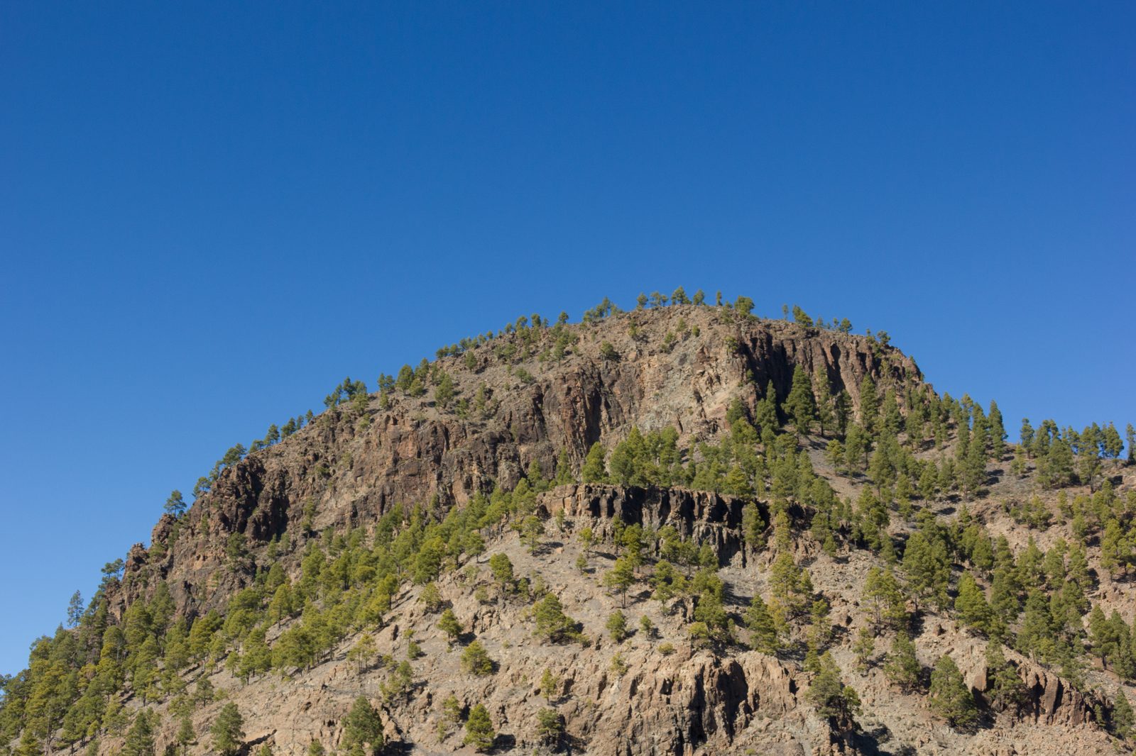 Barranco de las Vacas: el pequeño cañón fotogénico de Agüimes (Gran Canaria)