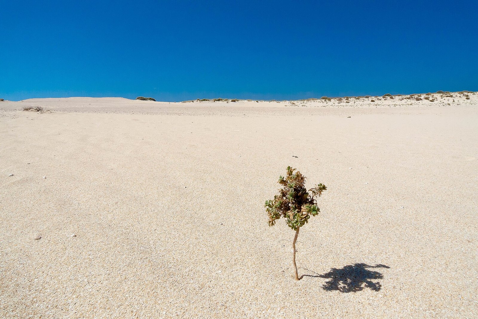 Dunas de Corralejo: el parque natural, playas y consejos (Fuerteventura)