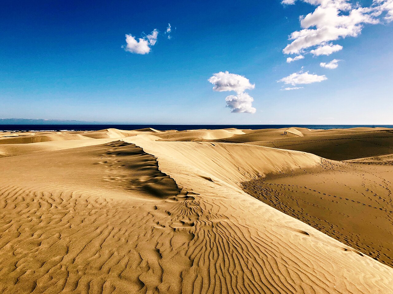 Dunas de Maspalomas y Charca, Gran Canaria
