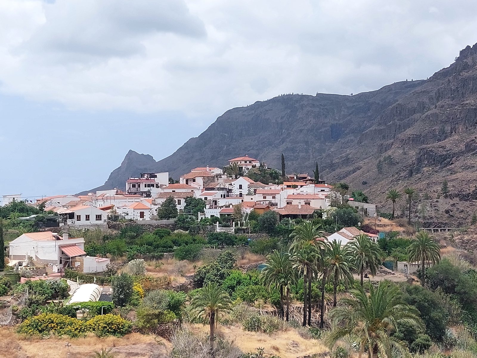 Fataga (Gran Canaria): valle de palmeras y pueblo blanco del interior (Gran Canaria)