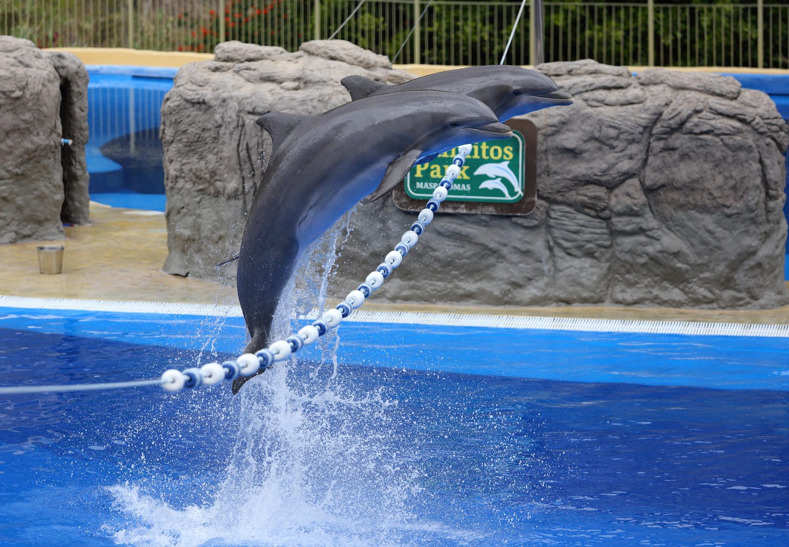 Palmitos Park (Gran Canaria): parque zoológico y botánico cerca de Maspalomas (Gran Canaria)
