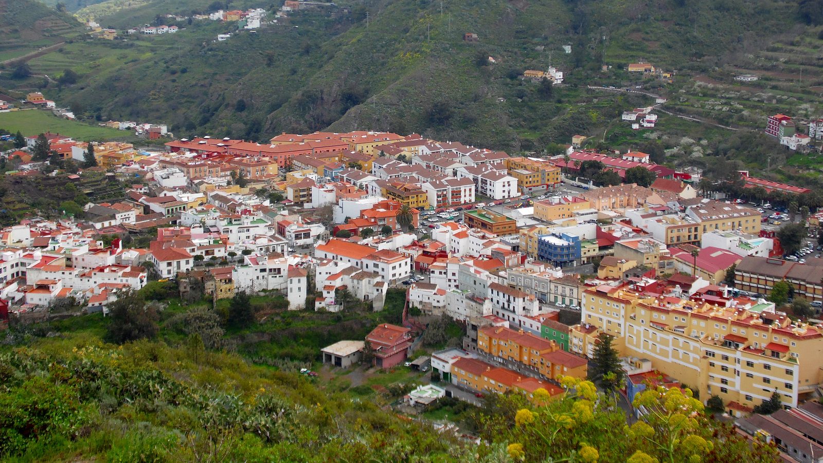 Vega de San Mateo: mercado, medianías y puerta a las cumbres (Gran Canaria)