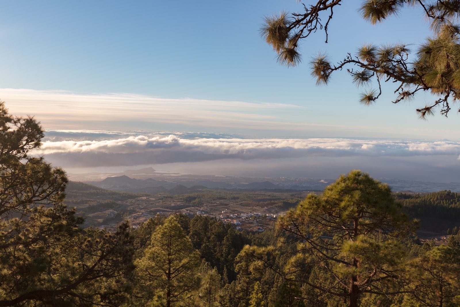Vilaflor (Tenerife): el pueblo más alto de España y puerta del Teide (Tenerife)