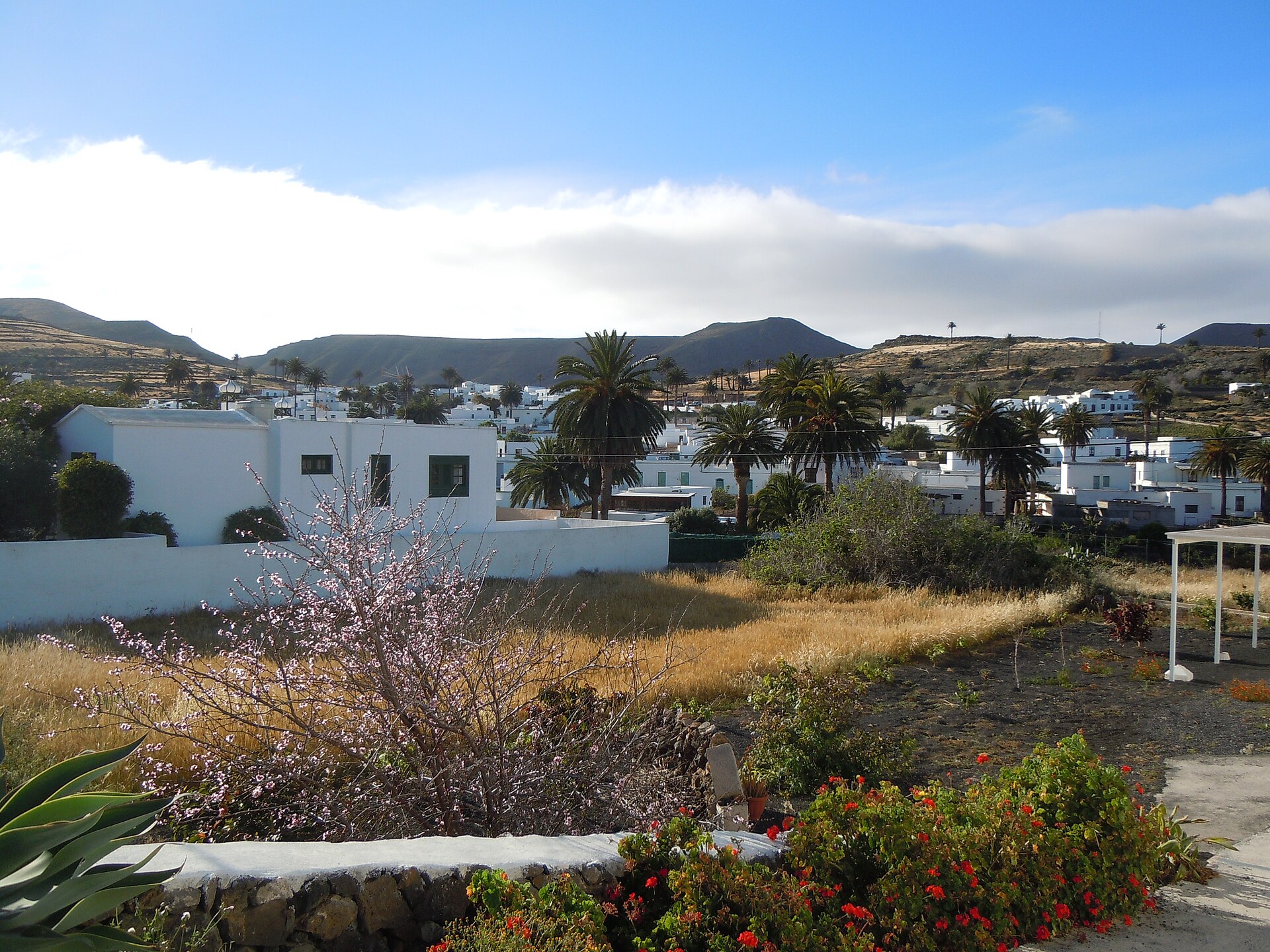 Haría, Lanzarote