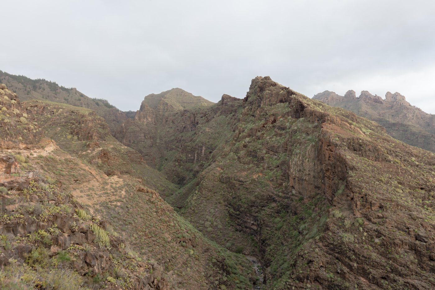 Barranco del Infierno, Costa Adeje