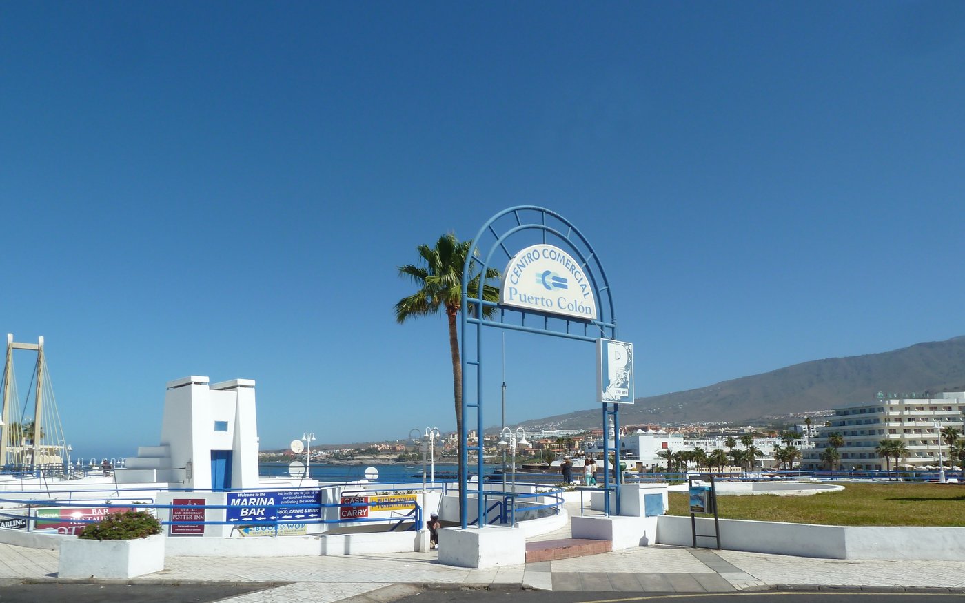 Puerto Colón / avistamiento cetáceos, Costa Adeje