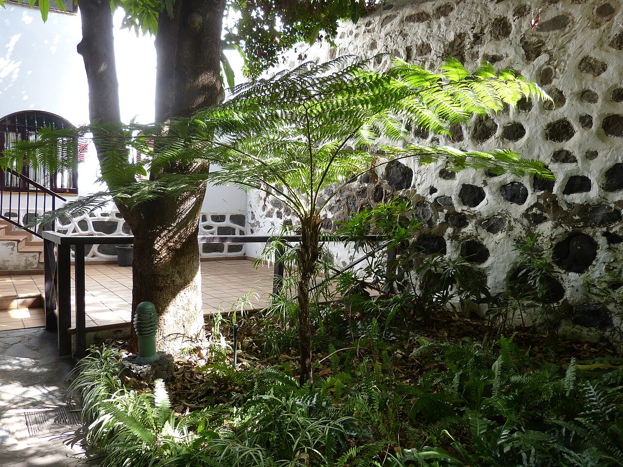 Huerto de las Flores, Agaete