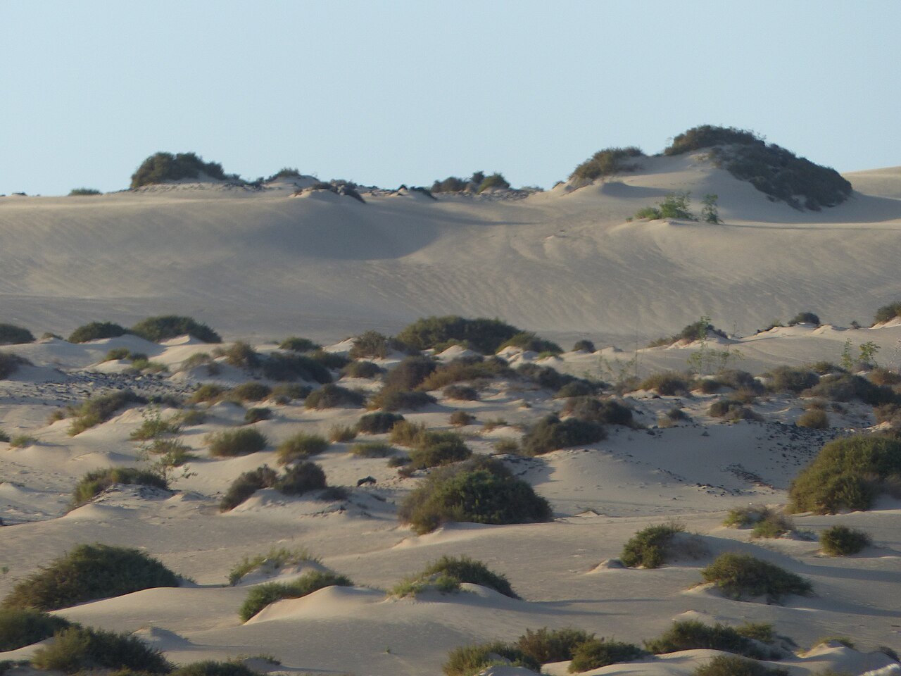 Parque Natural de las Dunas de Corralejo, Corralejo
