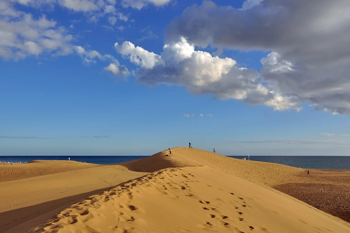Reserva Natural Especial de las Dunas de Maspalomas, Gran Canaria
