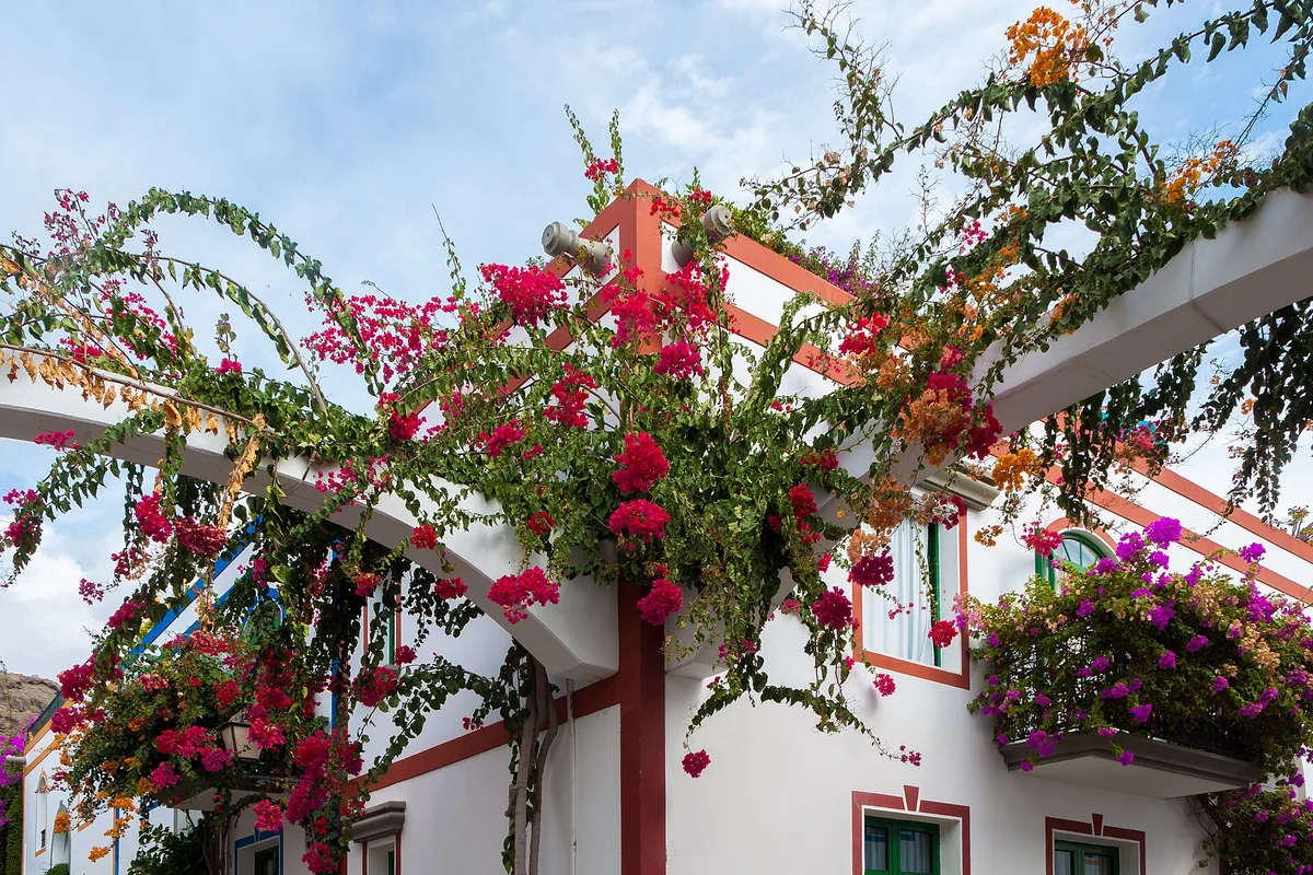Puerto de Mogán y la costa suroeste, Gran Canaria