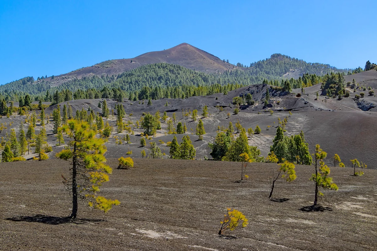 Ruta de los Volcanes, la dorsal de Cumbre Vieja a pie, La Palma
