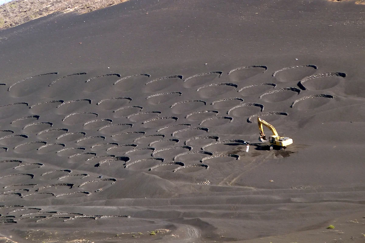 La Geria, viñedos sobre ceniza volcánica, Lanzarote