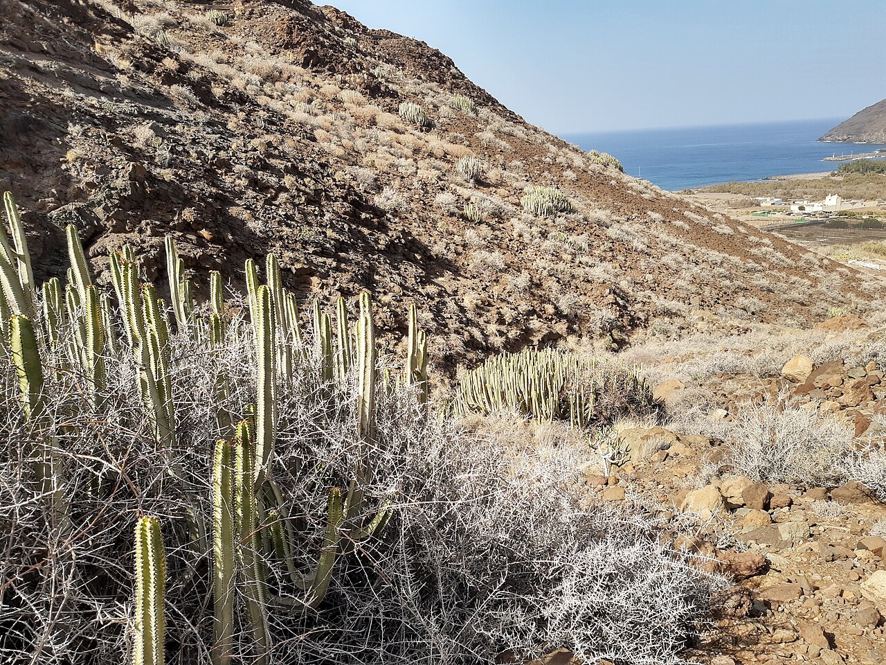Charco de La Aldea, Gran Canaria