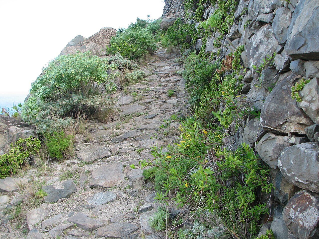 Roque de las Bodegas, Tenerife