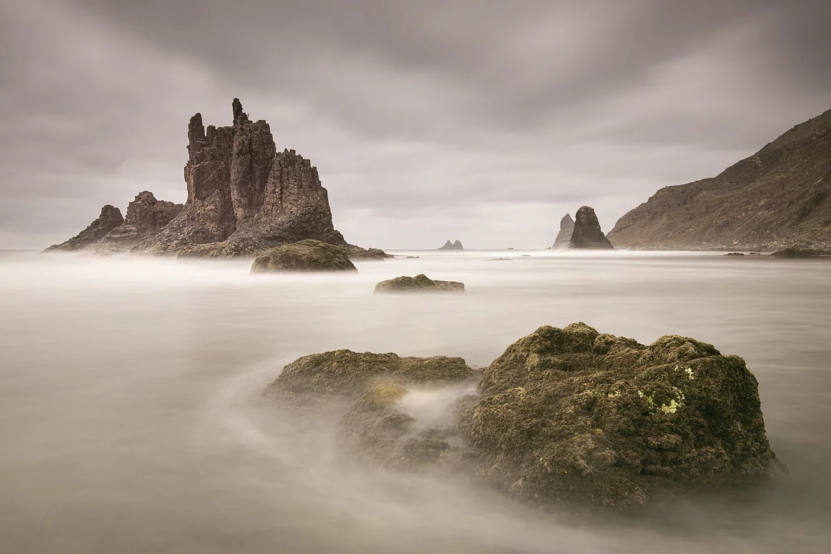 Anaga, laurisilva, barrancos y costa negra, Tenerife