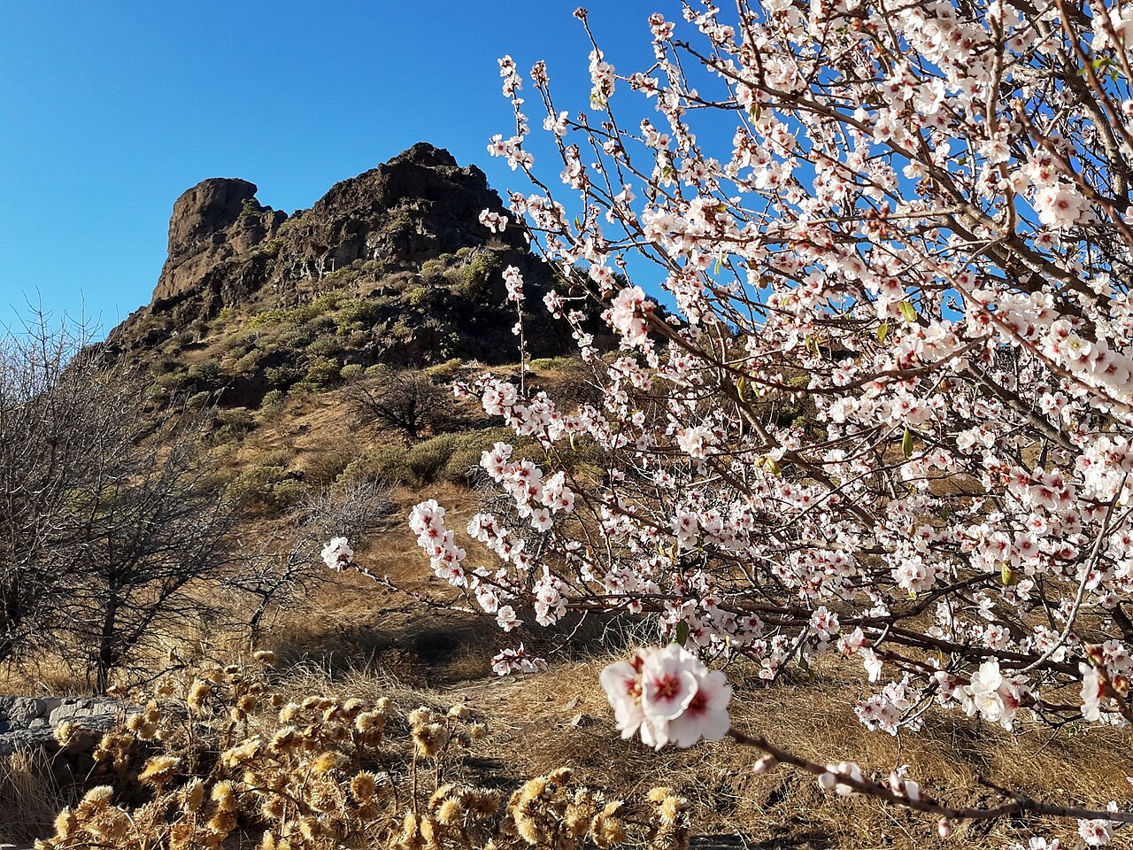 Roque Bentayga, Gran Canaria