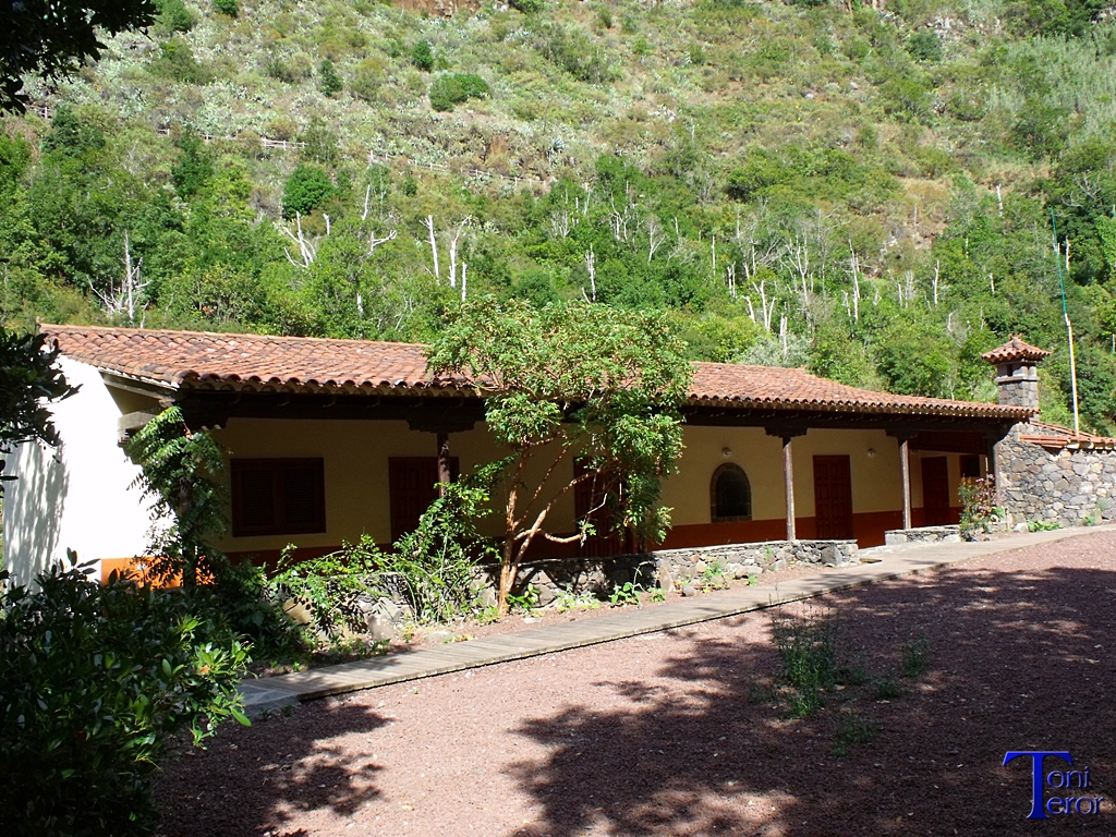 Los Tilos de Moya, Gran Canaria
