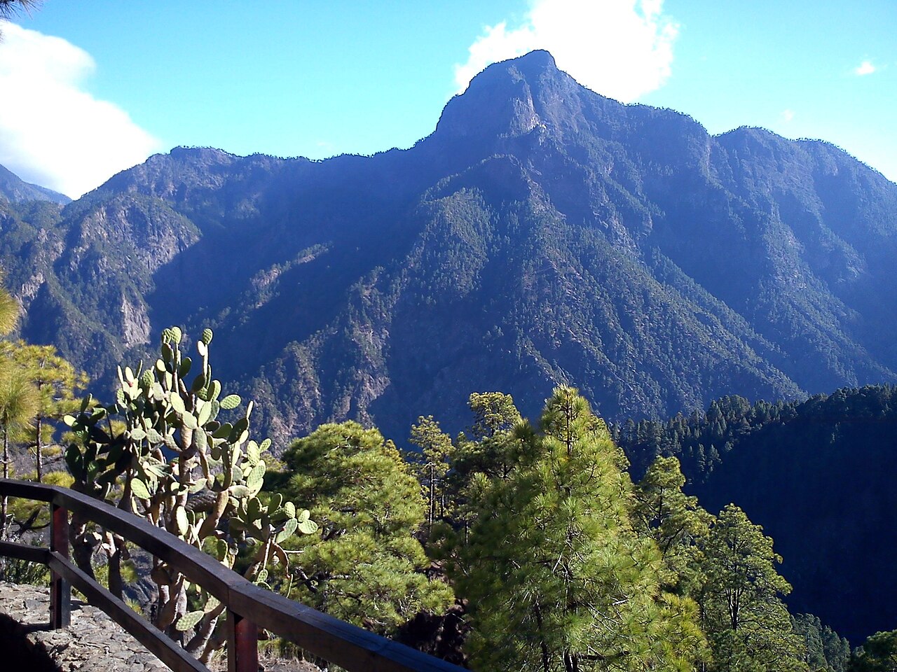 Pico Bejenado, La Palma