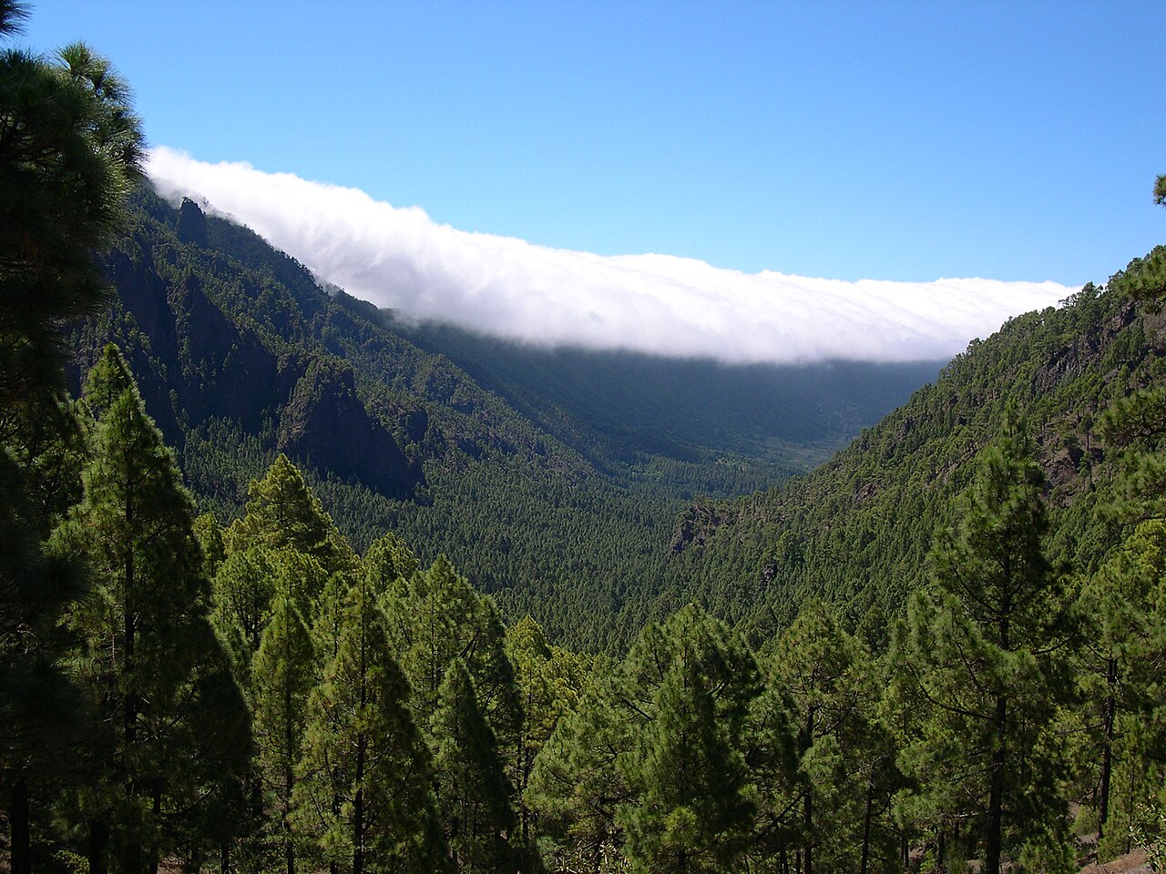 Caldera de Taburiente: Los Brecitos y Cascada de Colores, La Palma