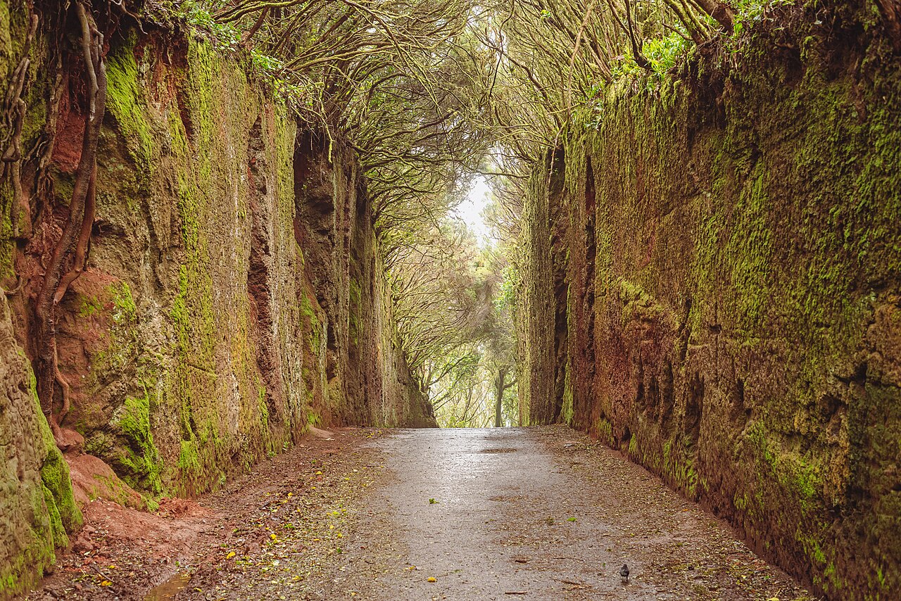 Pico del Inglés, Tenerife